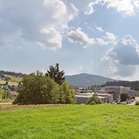 Appartement Pur Bernau im Schwarzwald